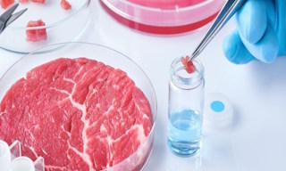 Лабораторный анализ пищевых продуктов по СанПиН в Ухте в октябре