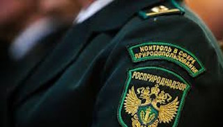 Подготовка к проверке Росприроднадзора в Ухте от ПромМир-Хта, стоимость услуги от 20250 руб.
